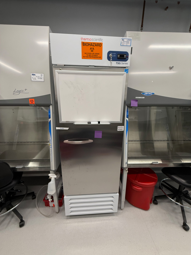 Image of Thermo Scientific TSG Upright Refrigerator